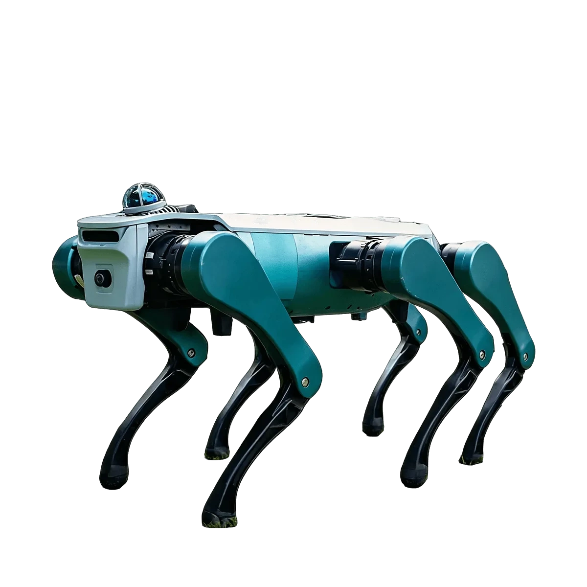 robot-img-Hexplorer