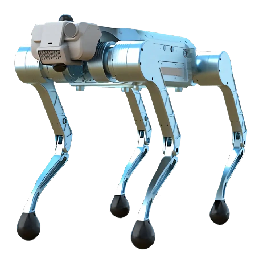 y20