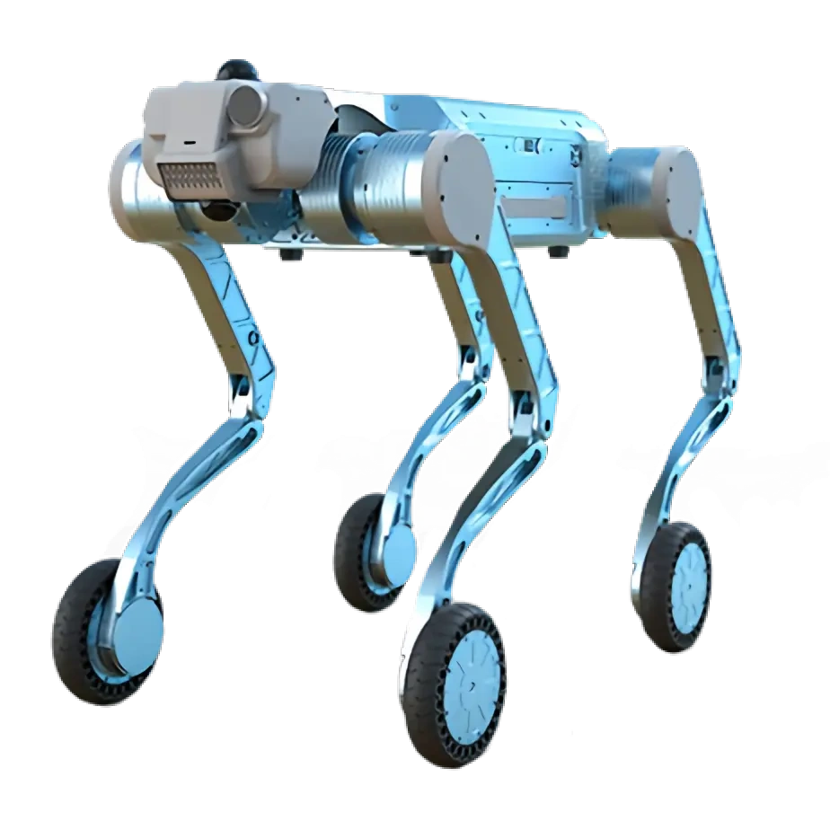 y20-w