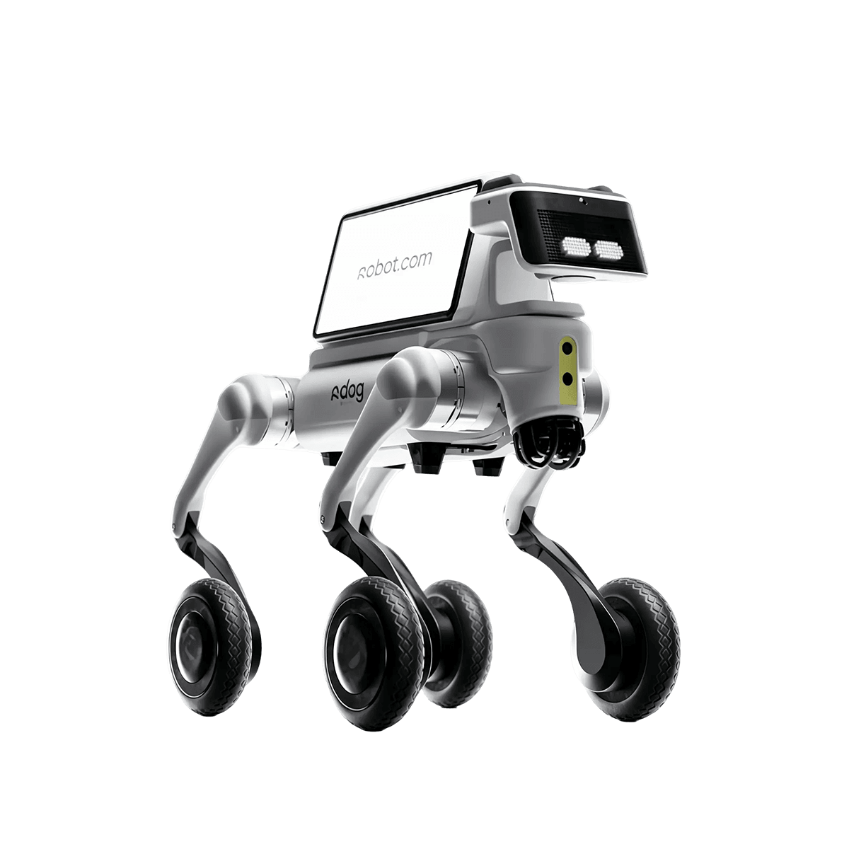robot-img-r-dog
