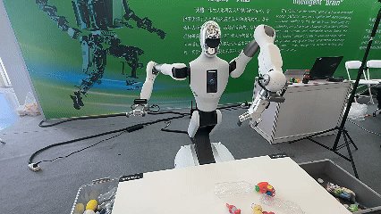 泛化抓取展示